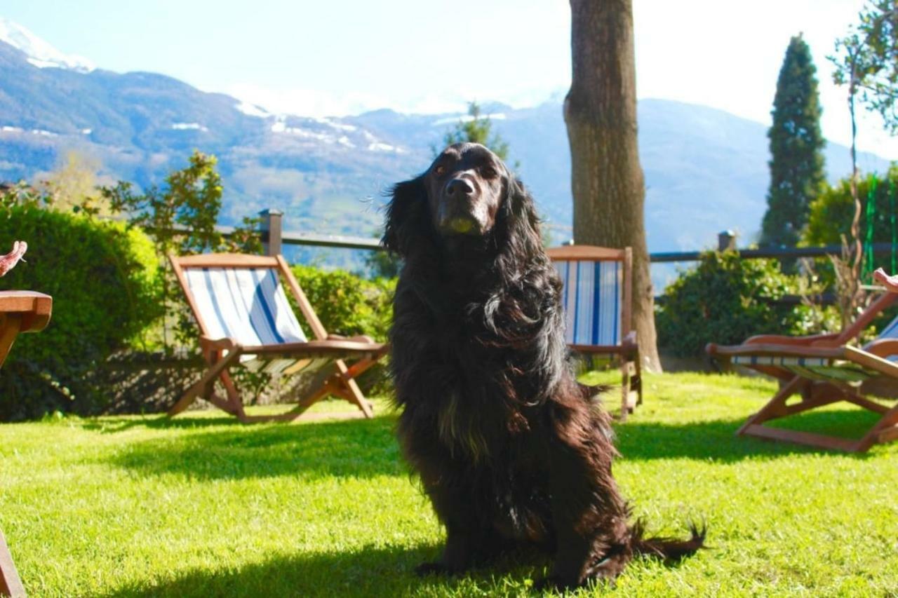 Bed & Breakfast Chez Berry Aosta Exterior foto